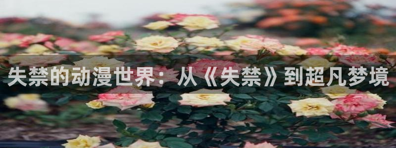 动漫天堂从哪下载安装：失禁的动漫世界：从《失禁》到超凡梦境