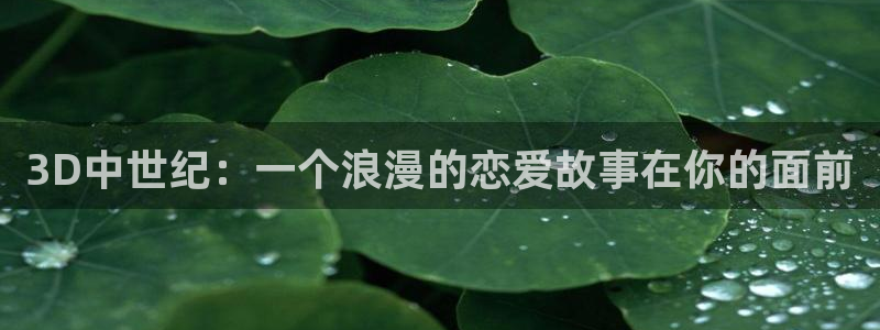 动漫天堂官网：3D中世纪：一个浪漫的恋爱故事在你的面前