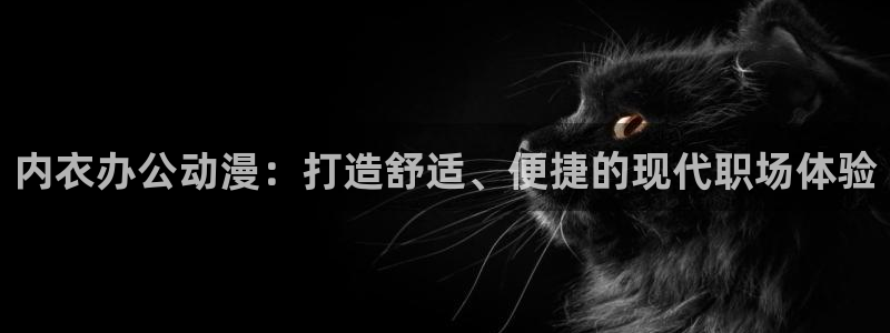 动漫天堂免费版：内衣办公动漫：打造舒适、便捷的现代职场体验