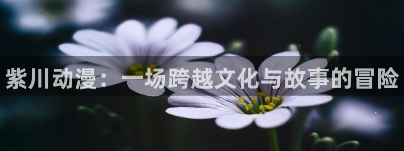 成人动漫天堂网：紫川动漫：一场跨越文化与故事的冒险